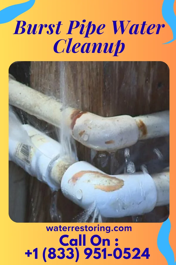 Burst Pipe Water Cleanup in Cromwell, IA